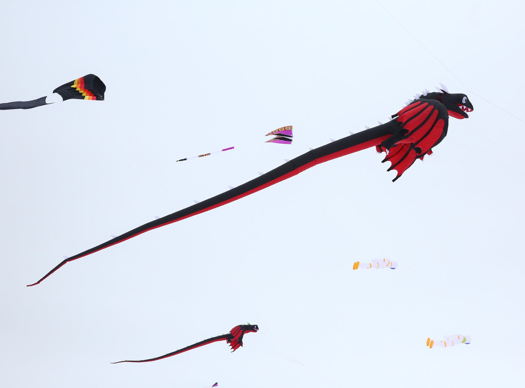 Color the Wind 14